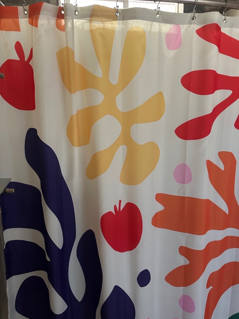 Matisse Shower Curtain